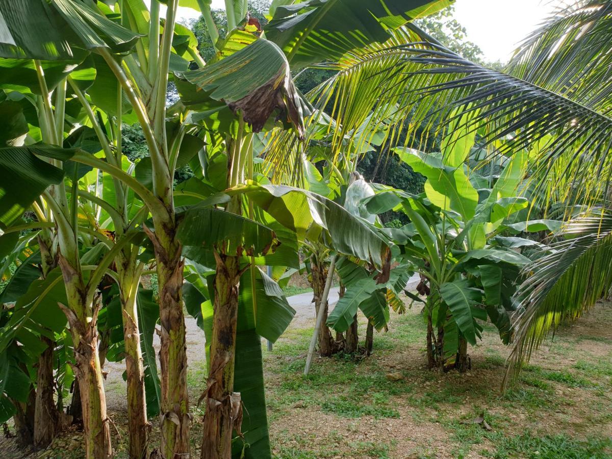 Baan Suan Coconut Ko Yao Noi Hotel Exterior photo